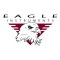 Eagle Instruments, Inc.